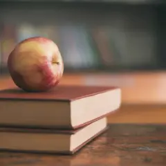 Kto prowadzi rejestr szkół i placówek oświatowych w Polsce?