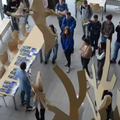 Studenci podczas prezentacji projektów z dziedziny studiów rolniczych, otoczeni kartonowymi instalacjami.