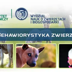 Uniwersytet Przyrodniczy w Lublinie zaprasza na studia z behawiorystyki zwierząt. Zobacz urocze cielątko, psa i prosiaczka.
