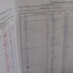 Dziennik lekcyjny z wpisanymi ocenami, widok na tabelę postępów w nauce. Kiedy jest wystawienie ocen, widać tu zapisy.