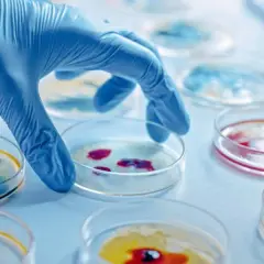 Mikrobiologia co po studiach: jak uniknąć najczęstszych błędów zawodowych